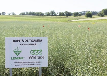 wetrade-hibrizi-lembke