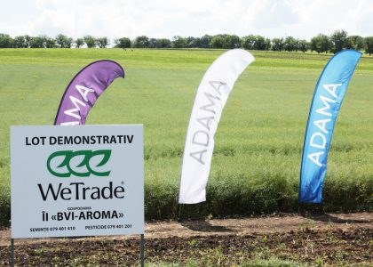 wetrade-hibrizi-lot-demonstrativ