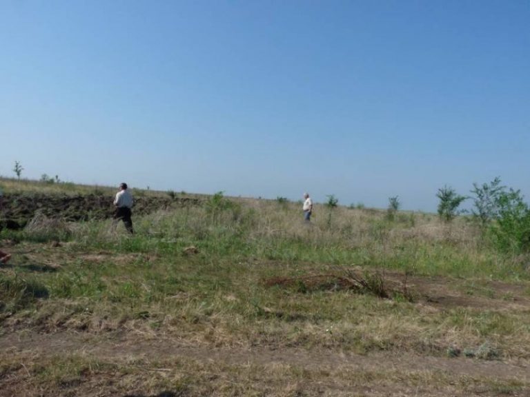 Circa 250 de mii de hectare de terenuri agricole lăsate în paragină