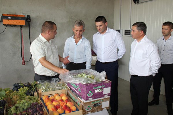 FOTO. Leancă a vizitat două întreprinderi exportatoare de fructe din raionul Ialoveni