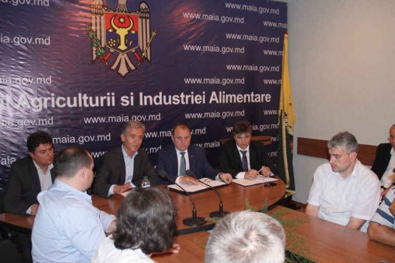 Guvernul va compensa pierderile producătorilor şi procesatorilor de mere şi prune