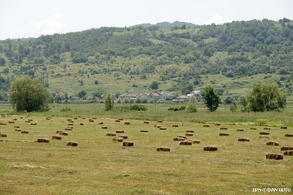 Colapsul agricol face ca satele moldoveneşti să devină tot mai pustii