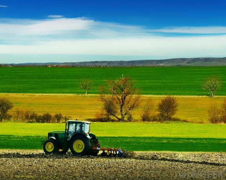 Radiografia agriculturii moldovenești în 2014