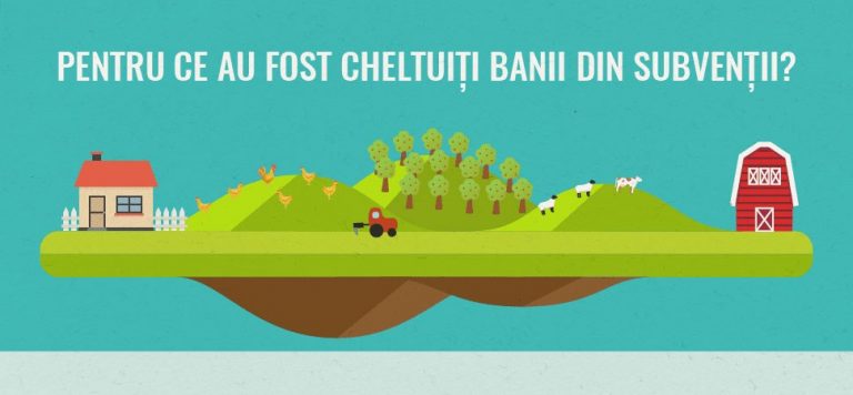 Infografic: Pentru ce au fost cheltuiți banii din subvenții