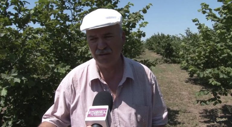 VIDEO. Și-a ridicat o livadă de aluni de toată frumusețea pe banii europenilor