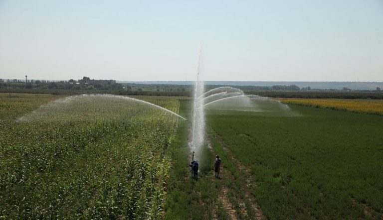 FOTO. La Coșnița a fost lansat un nou sistem de irigare reconstruit cu suportul SUA