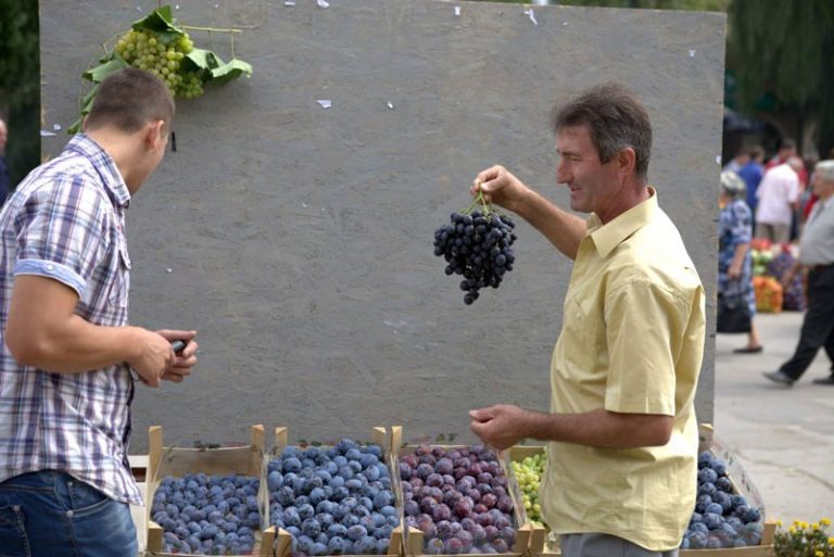 Reportaj foto realizat de Agrobiznes la „Festivalul Strugurelui 2015”