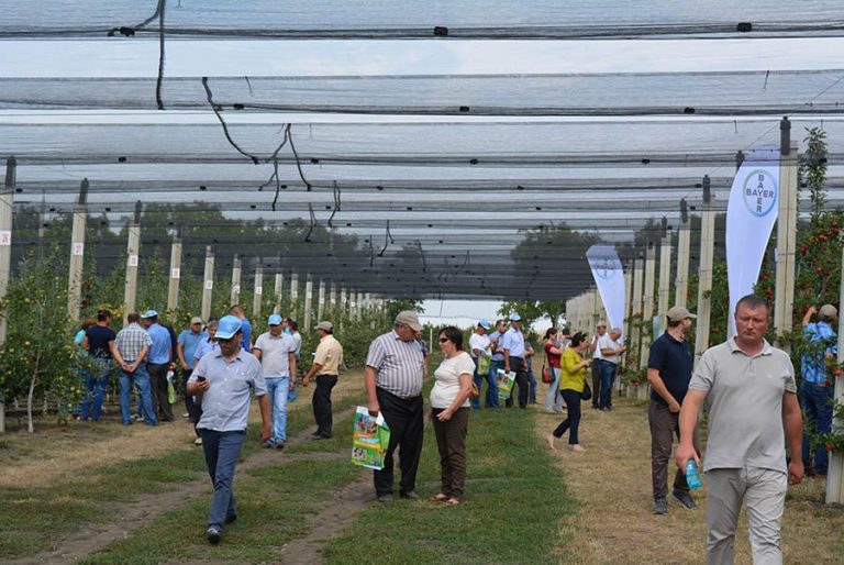 FOTO. Seminar pe tema pomiculturii la Glodeni. Bayer CropScience a organizat o demonstrație în livadă