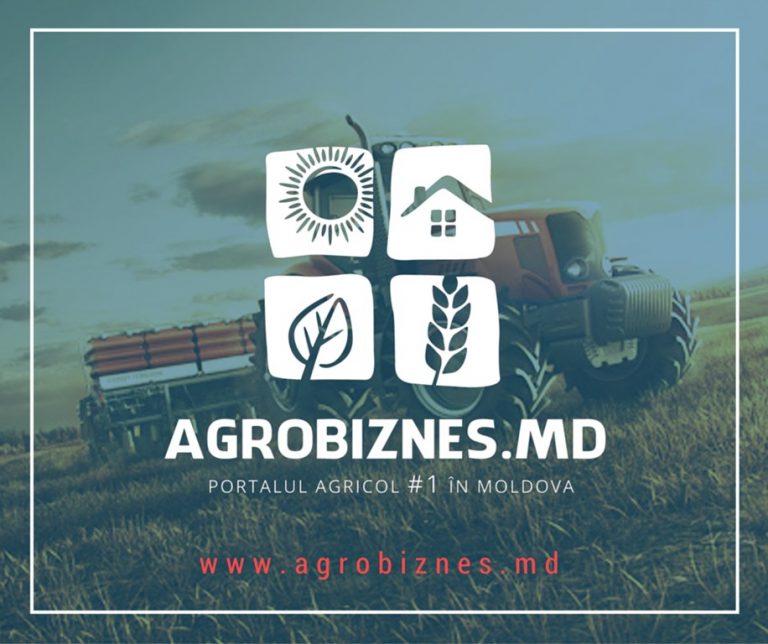 Cel mai bun rezultat din istoria site-ului Agrobiznes.md: Aproximativ 32.000 de vizitatori unici în ianuarie