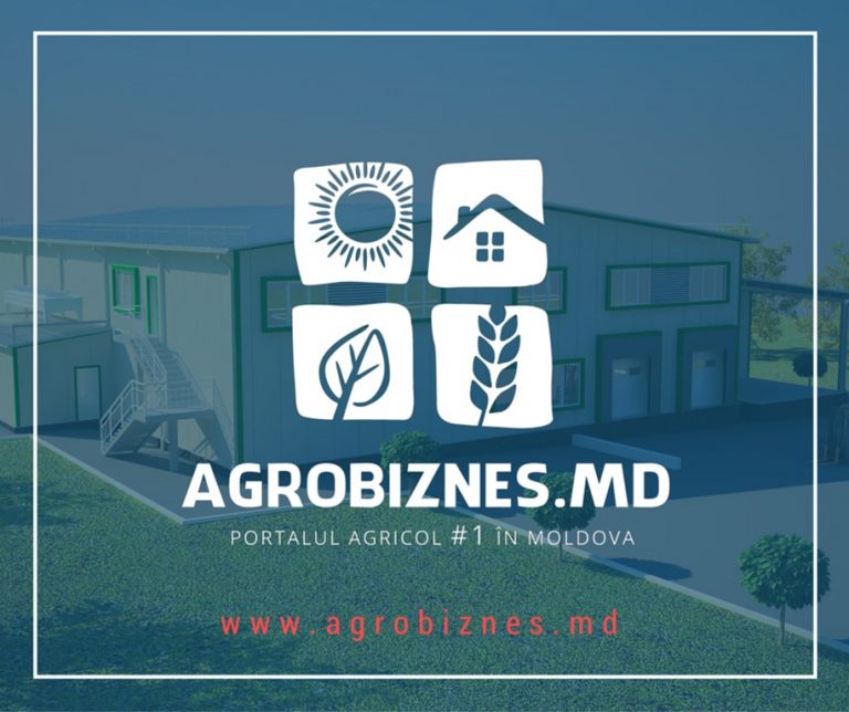 www.agrobiznes.md – un nou record de vizitatori într-o singură zi. Iată cele mai citite subiecte