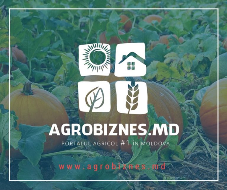 Agrobiznes – Partener Media al Asociaţiei Naţionale a Tinerilor Manageri (ANTiM)