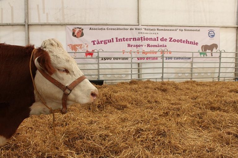 FOTO. Echipa Agrobiznes a mers în vizită la cel mai mare şi important eveniment agricol din România