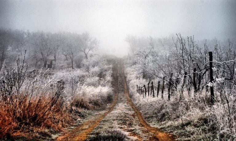 Meteorologii anunță COD GALBEN de înghețuri