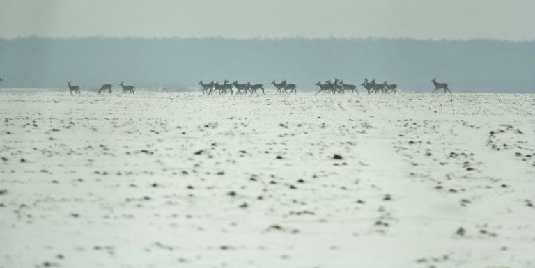 METEO. Vremea se răcește simțitor. Sunt anunțate ninsori și înghețuri