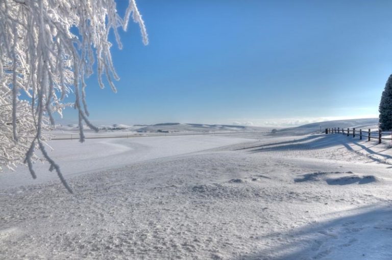 Care este starea cerealelor de toamnă în urma îngețurilor de 20 de grade