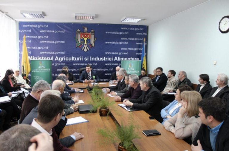 La MAIA a avut loc o ședință cu reprezentanții asociațiilor producătorilor agricoli, procesatorilor și exportatorilor