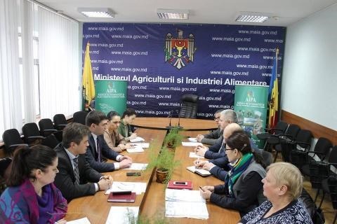 Autoritățile pregătesc un plan de acțiuni pentru protejarea producătorilor autohtoni de importurile din Ucraina