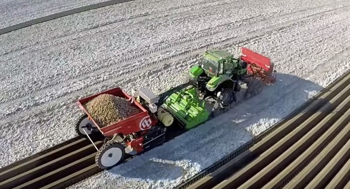 VIDEO. Tehnologii performante în agricultură: Cum se plantează cartofii în Olanda