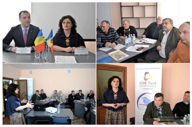 Apicultorii de la nord au participat la cel de-al doilea ciclu de seminare despre biologia, nutriția și patologia albinelor