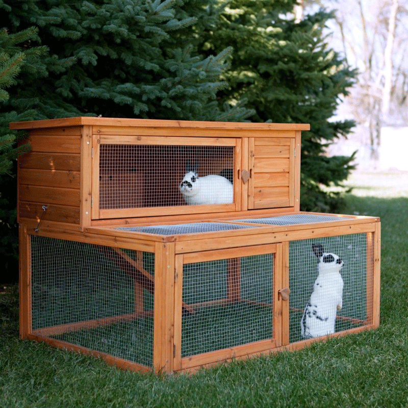 Foto: Cuști pentru iepuri. Modele le construi