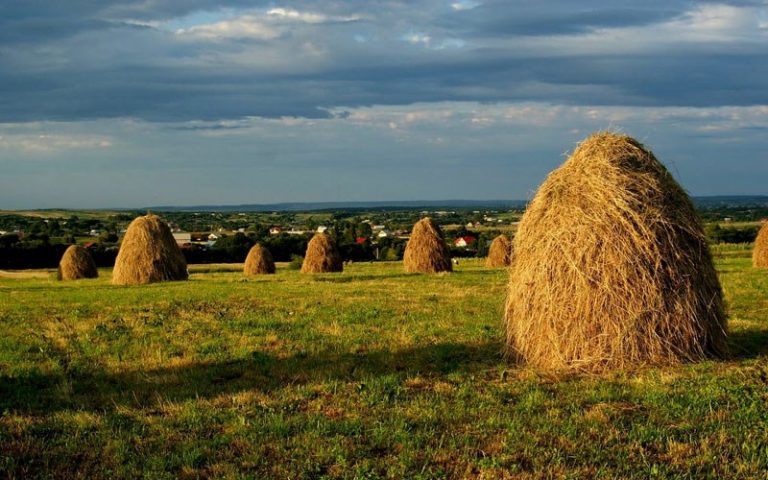 50.000 de euro pentru orice tânăr din România care vrea să-și deschidă o afacere în mediul rural