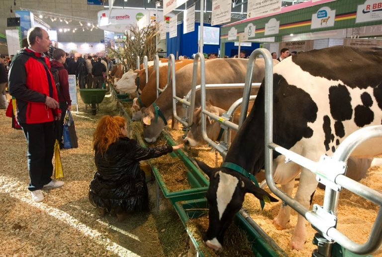 Evenimente și expoziții agricole în toamna anului 2016