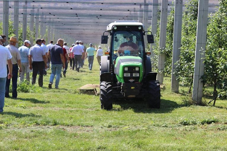 FOTO. Moldova Fruct a făcut o demonstrare a metodelor și tehnicilor de recoltare a merelor