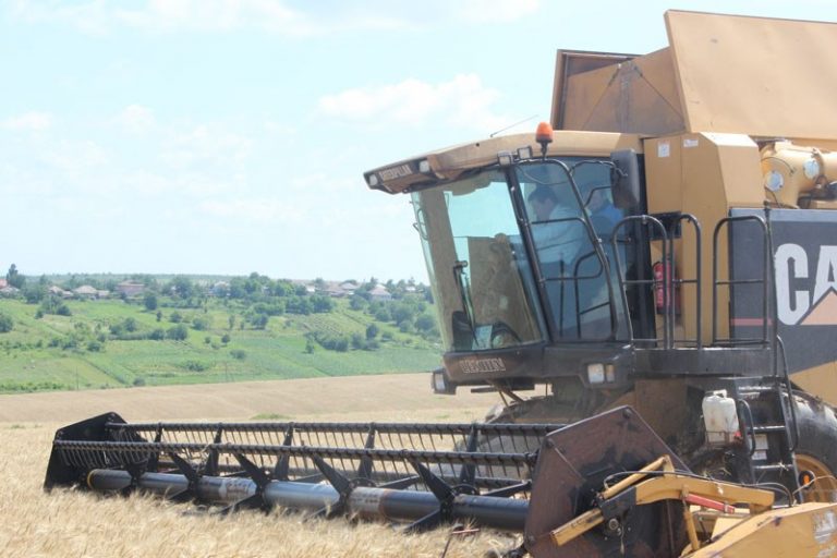 FOTO. Ministrul Agriculturii, la volanul unei combine în gospodăria fermierului Andrei Gîrlea din Țareuca