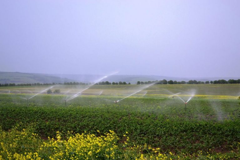 Creditul polonez pentru agricultori a fost ratat din cauza guvernanţilor, opinii