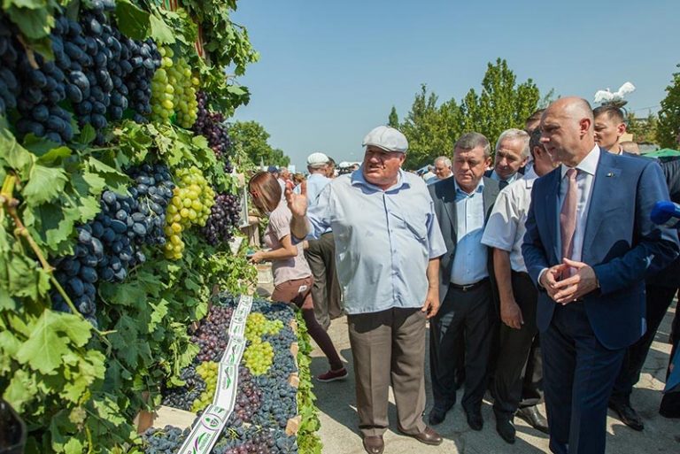 FOTO. Viticultori din 18 raioane ale țării au participat duminică la Festivalul național al strugurelui