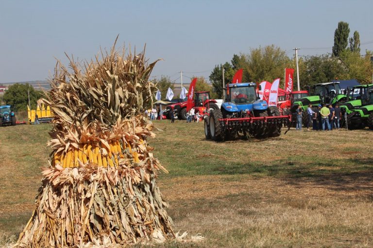 VIDEO. FOTO. Cele mai interesante momente surprinse de Agrobiznes la Festivalul Porumbului