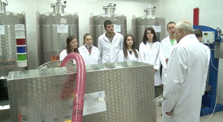 VIDEO. UTM a prezentat 5 vinuri didactice produse de către studenți și profesori