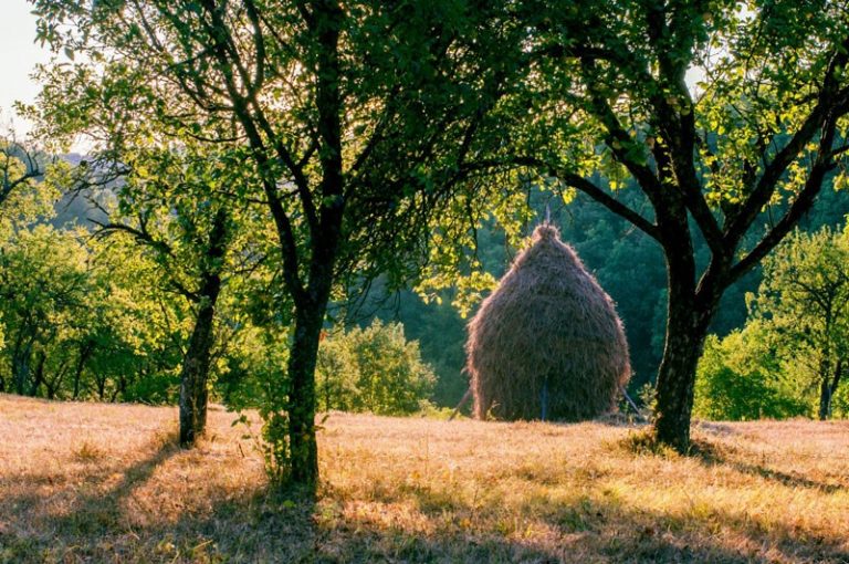 VIDEO. Mai mulți oameni de afaceri au creat patru clustere agroturistice în diferite zone ale țării