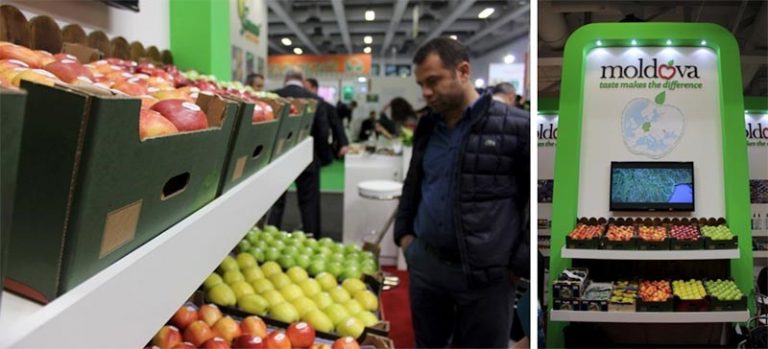 FOTO. Moldova la Fruit Logistica Berlin: Concluzii, lecții și inspirație