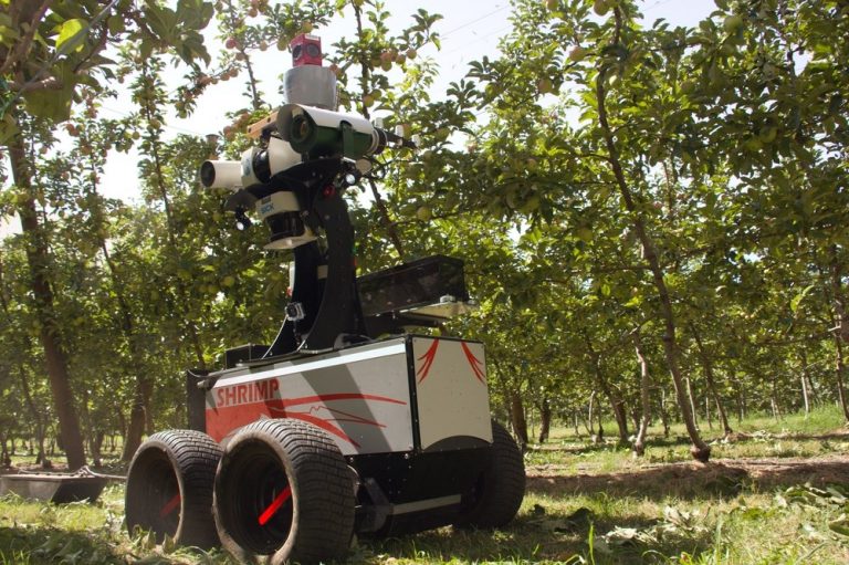 Cum o universitate din Australia poate schimba agricultura