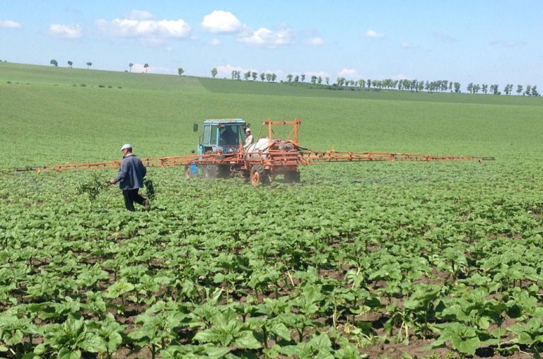 Fertilizanții foliari versus biostimulatorii aplicați în vegetație