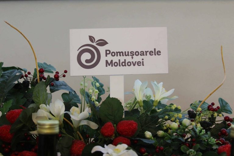 Experți: În următorii ani în Moldova vor crește semnificativ suprafețele plantate cu pomușoare