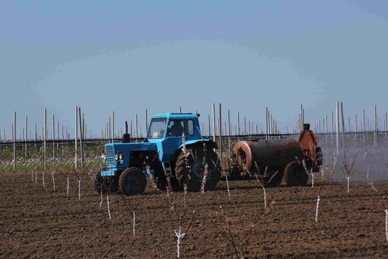 Specialiștii ANSA vin cu o serie de recomandări pentru tratamentul pomilor fructiferi și culturilor agricole