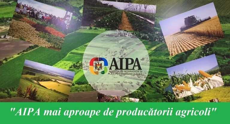 AIPA va organiza mai multe seminare de informare pentru susținerea tinerilor producători agricoli