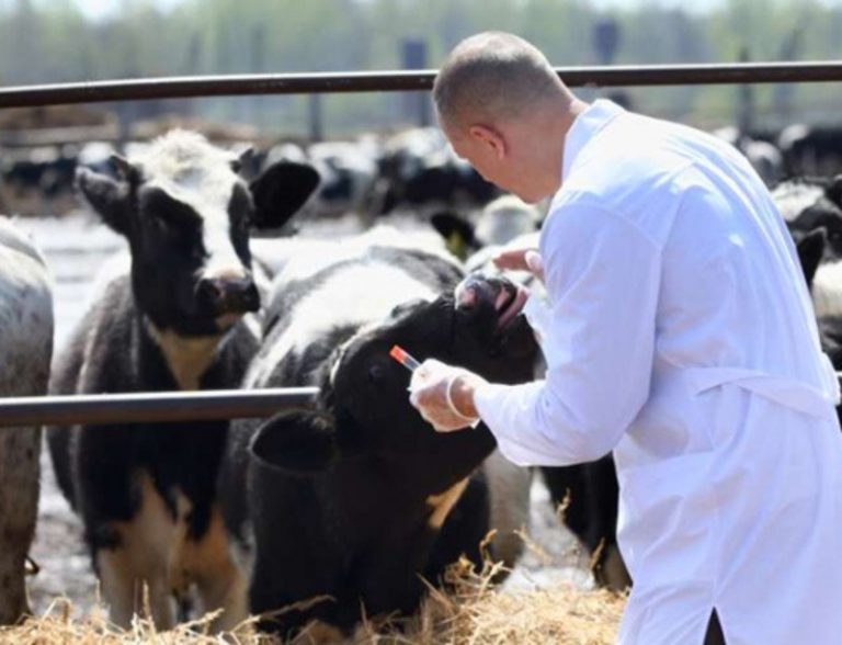 ANSA interzice în uzul veterinar anumite preparate antimicrobiene