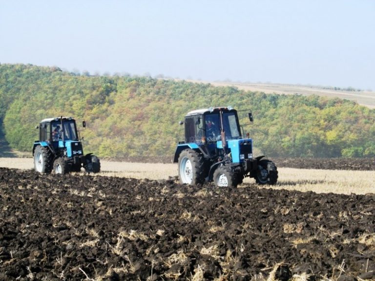 Realizări în domeniul funciar pentru o agricultură mai eficientă și durabilă