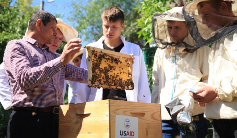 Vrei o afacere de succes? Alege apicultura! Școala Profesională din comuna Bubuieci anunță admiterea elevilor la studii