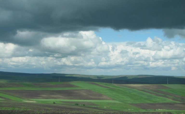 AgroMeteo: Cod galben de ploi puternice și vânt