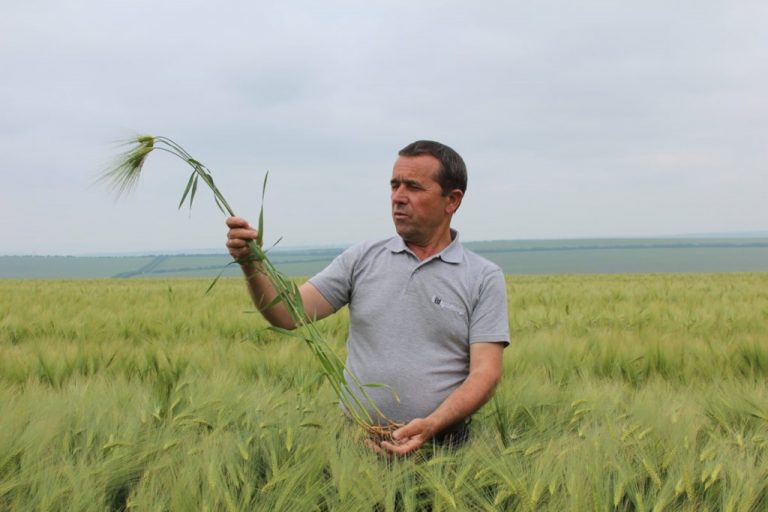Cum testarea solului i-a asigurat fermierului Filip Beiu un adaos de recoltă de până la 2 tone la hectar