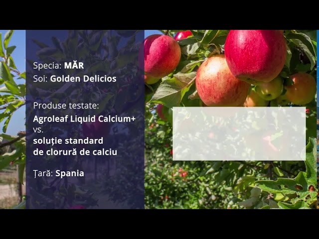 VIDEO. Cum se poate preveni pătarea neagră a merelor cu Agroleaf Liquid Calcium+