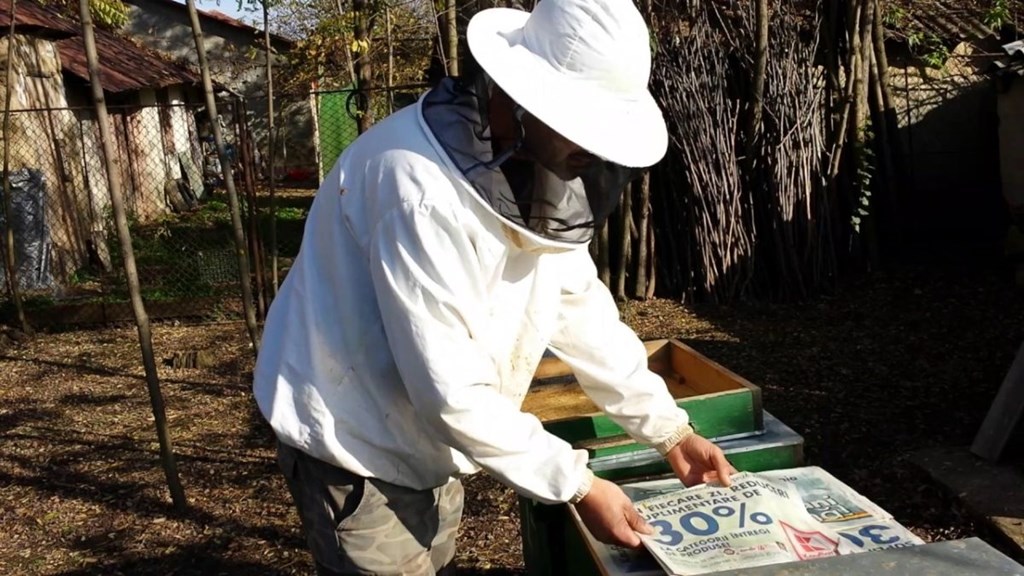 Influential Pessimist Sunny 14. Cum se pregătesc stupii pentru iernat în apicultura ecologică