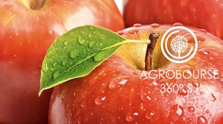 Agro Place SRL procură pentru export mere, struguri, prune, nuci, fructe uscate și uleiuri vegetale