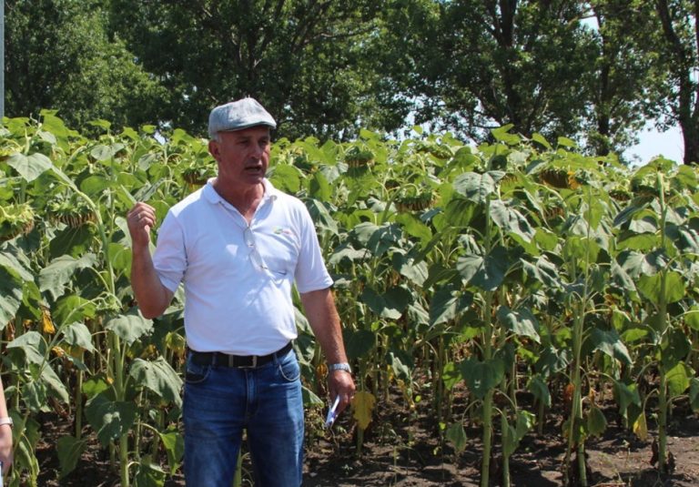 Igor Tcaci, fermier: Mai devreme sau mai târziu, toți fermierii vor trece la agricultura conservativă