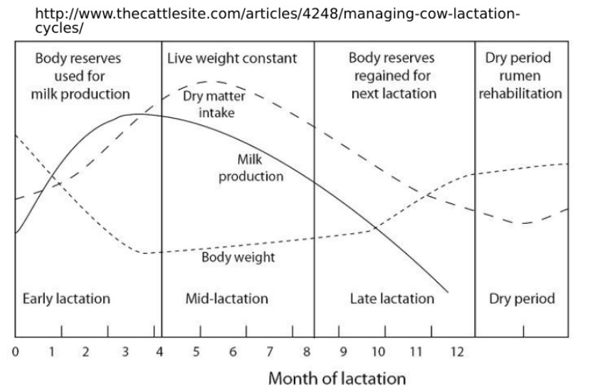 Living weight. Dry matter. Seasonal fluctuations in the Composition, properties and Thermal changes of Cow's Milk in the Seasonal calving System.. Persistent Yellow body treatment in productive Cows.