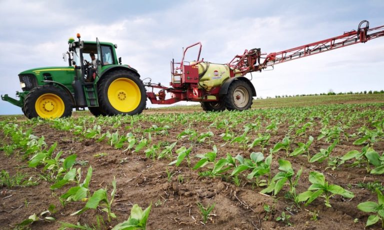 10 antreprenori vor beneficia de suport sub formă de granturi nerambursabile, acordat de UCIP IFAD